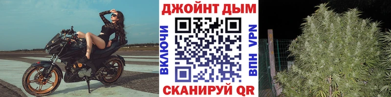 Канабис сатива  мега tor  Калуга 